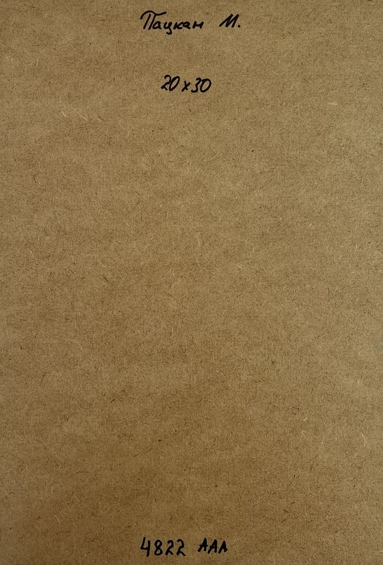 Acrylic painting Winter warm comfort Mykhailo Patskan - 10