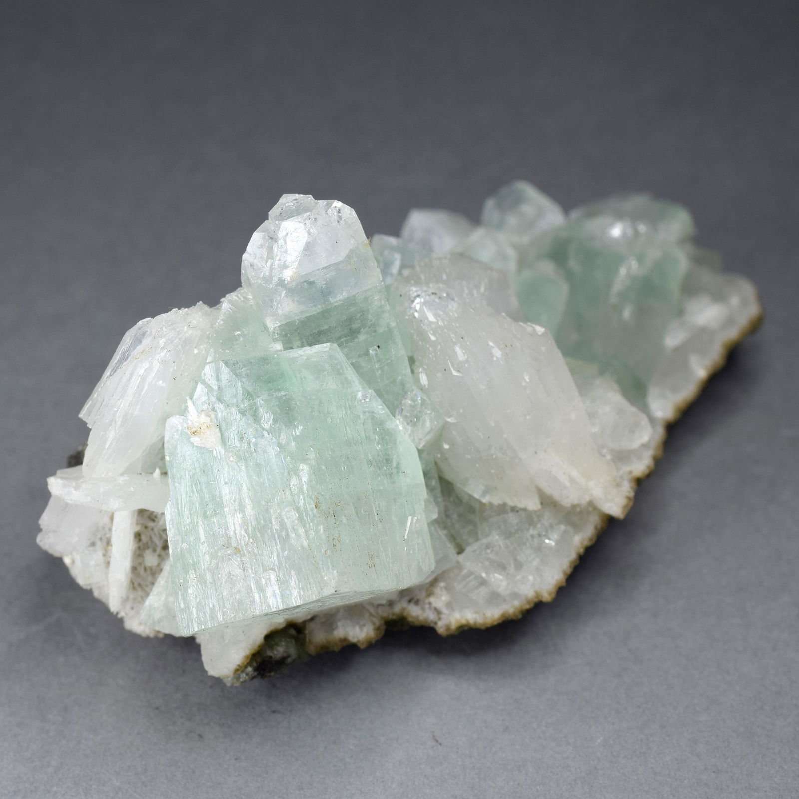 Fine Apophyllite on matrix - 2