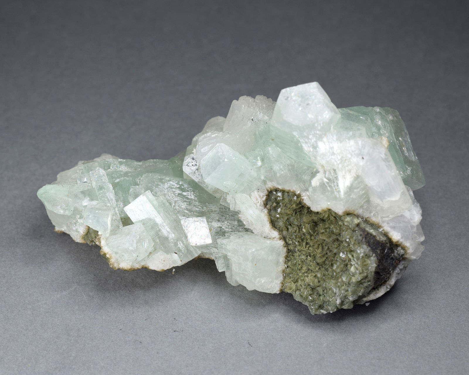 Fine Apophyllite on matrix - 4