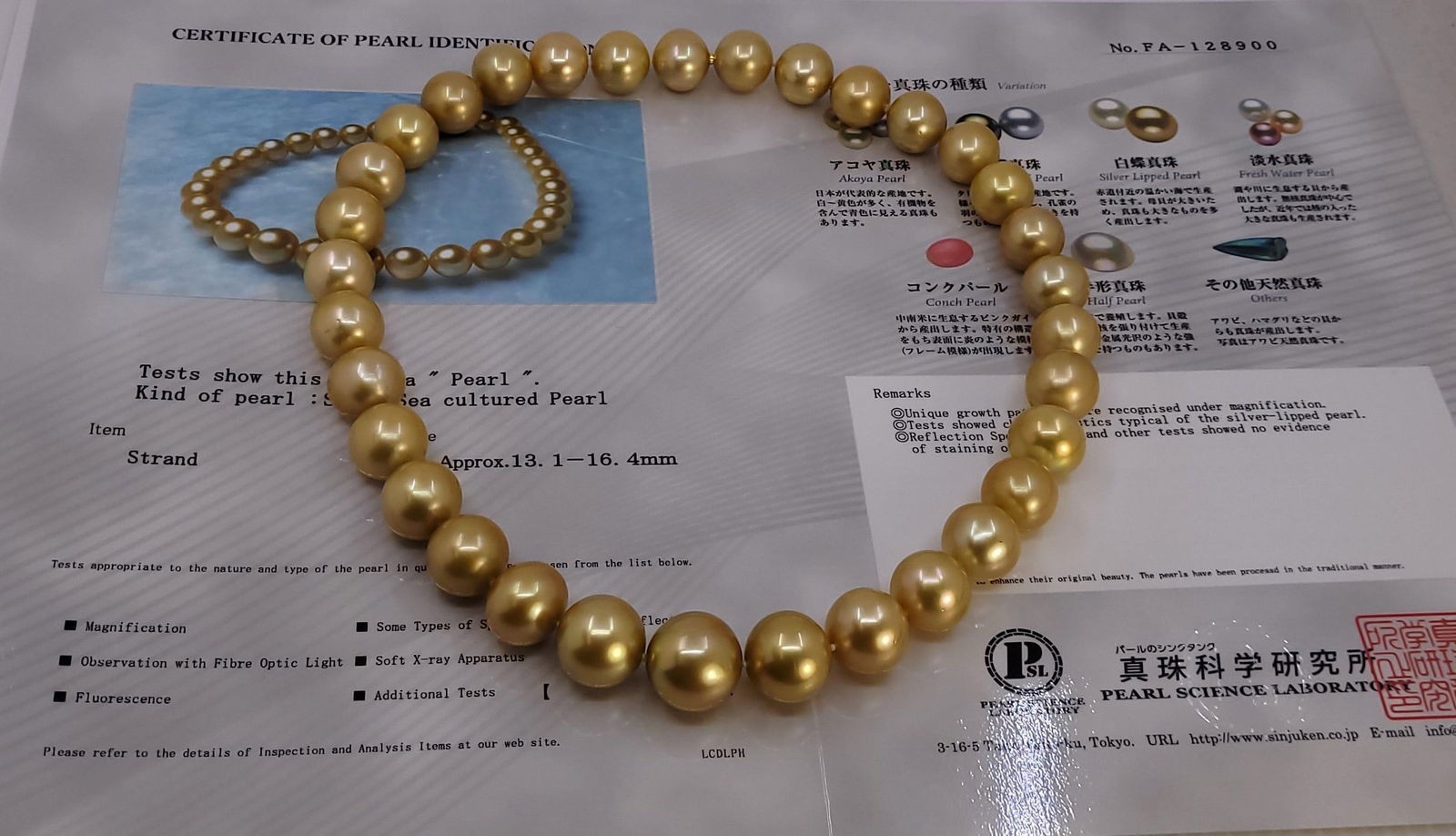 Necklace PSL Certified Australian Deep Golden South Sea Pearls - Huge Size - 13.1x16.4mm - 11