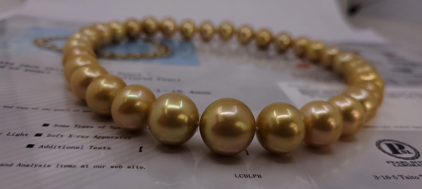 Necklace PSL Certified Australian Deep Golden South Sea Pearls - Huge Size - 13.1x16.4mm - 12