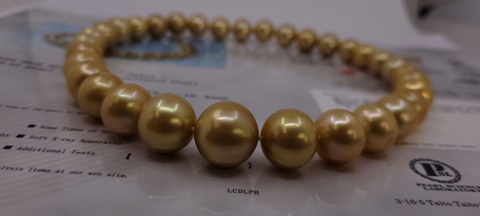 Necklace PSL Certified Australian Deep Golden South Sea Pearls - Huge Size - 13.1x16.4mm - 13