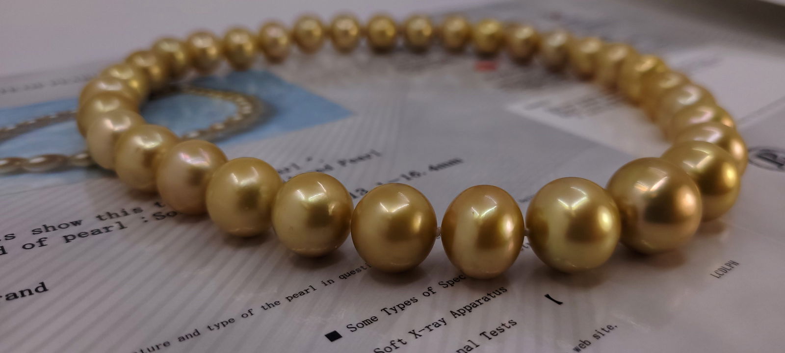 Necklace PSL Certified Australian Deep Golden South Sea Pearls - Huge Size - 13.1x16.4mm - 14