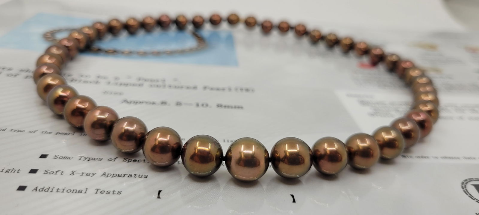 Necklace PSL Certified Chocolate Tahitian Pearls 8.5x10.8mm - 10