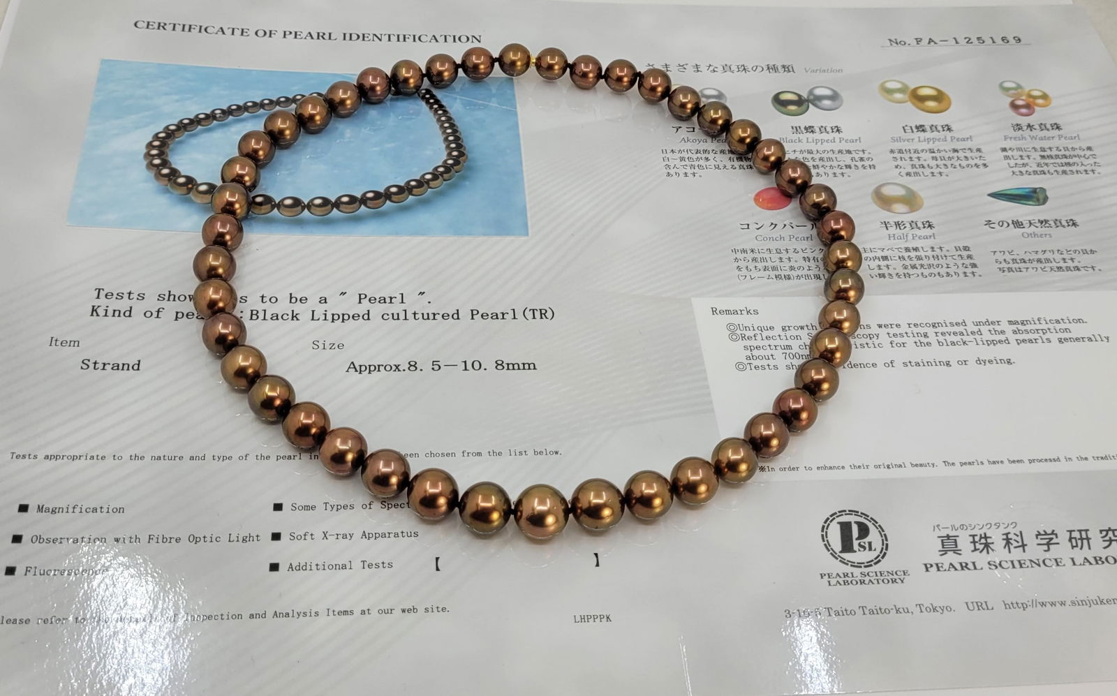 Necklace PSL Certified Chocolate Tahitian Pearls 8.5x10.8mm - 11