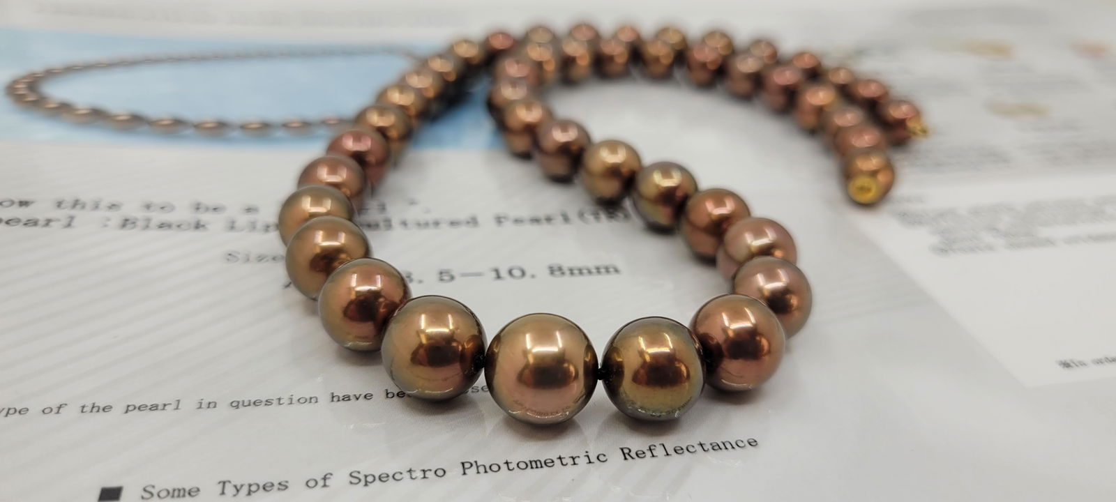 Necklace PSL Certified Chocolate Tahitian Pearls 8.5x10.8mm - 14