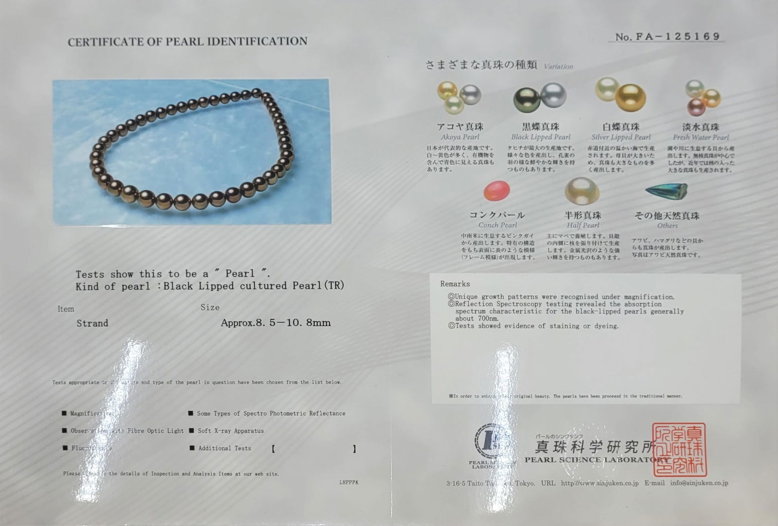 Necklace PSL Certified Chocolate Tahitian Pearls 8.5x10.8mm - 9