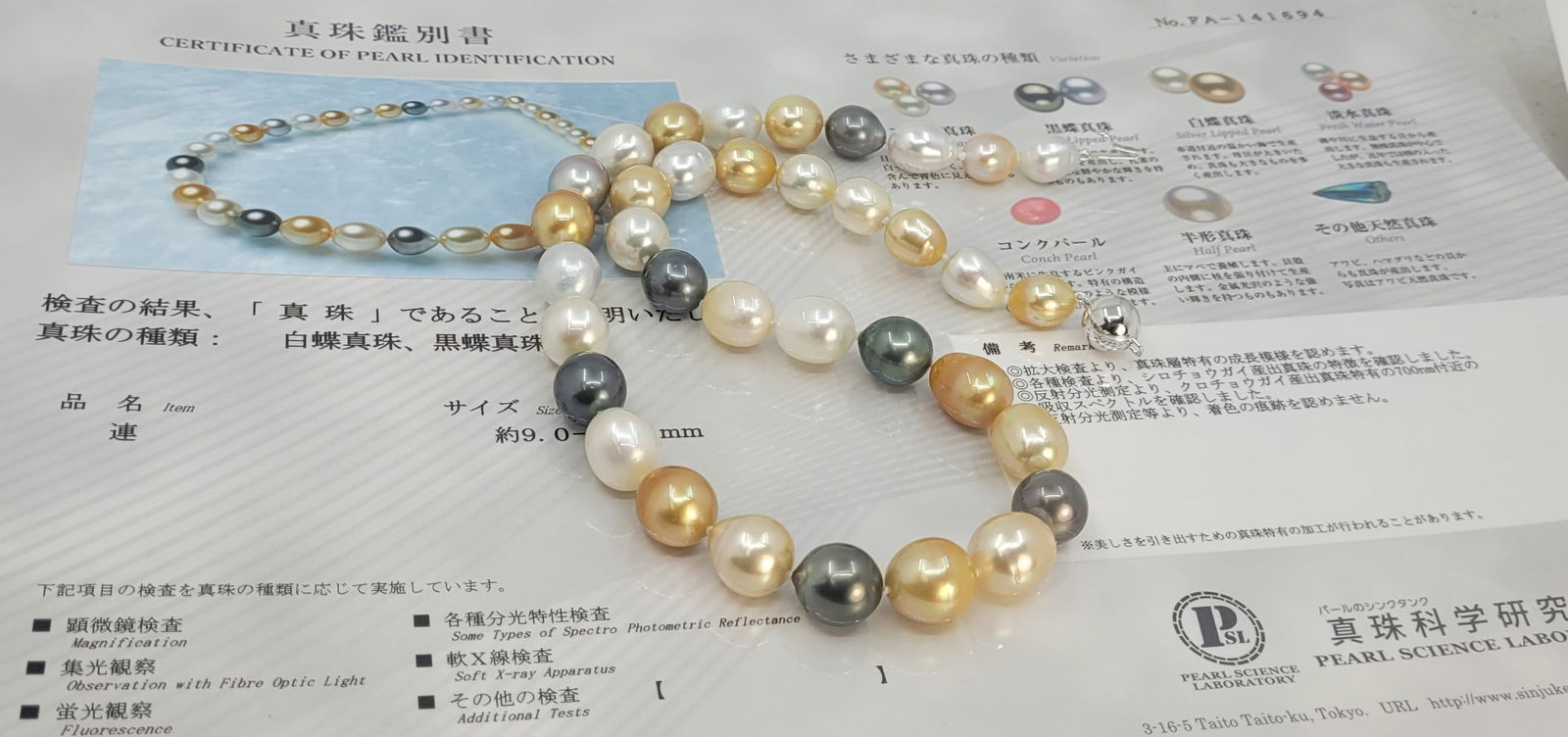Necklace PSL Certified South Sea and Tahiti pearls - 9.0x12.1mm - 14