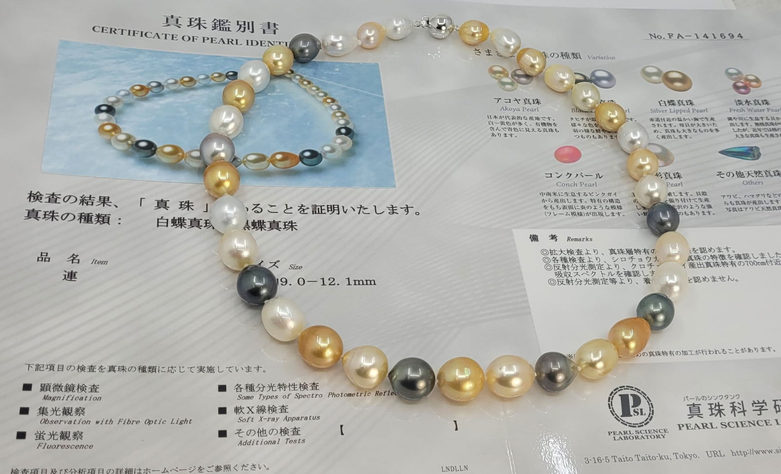 Necklace PSL Certified South Sea and Tahiti pearls - 9.0x12.1mm - 9