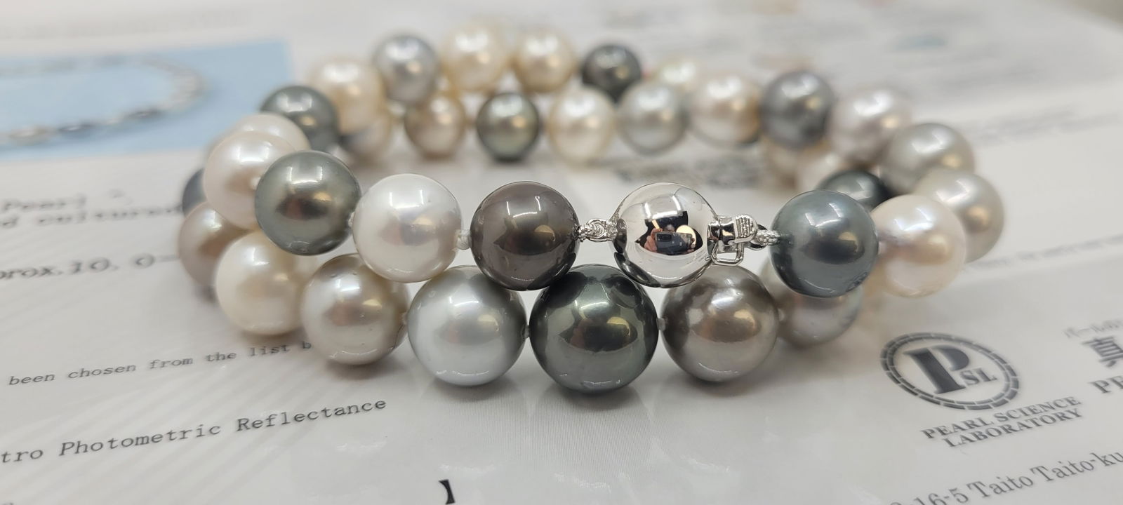 Necklace PSL Certified Tahitian Pearls - 10.0x12.2mm - 10