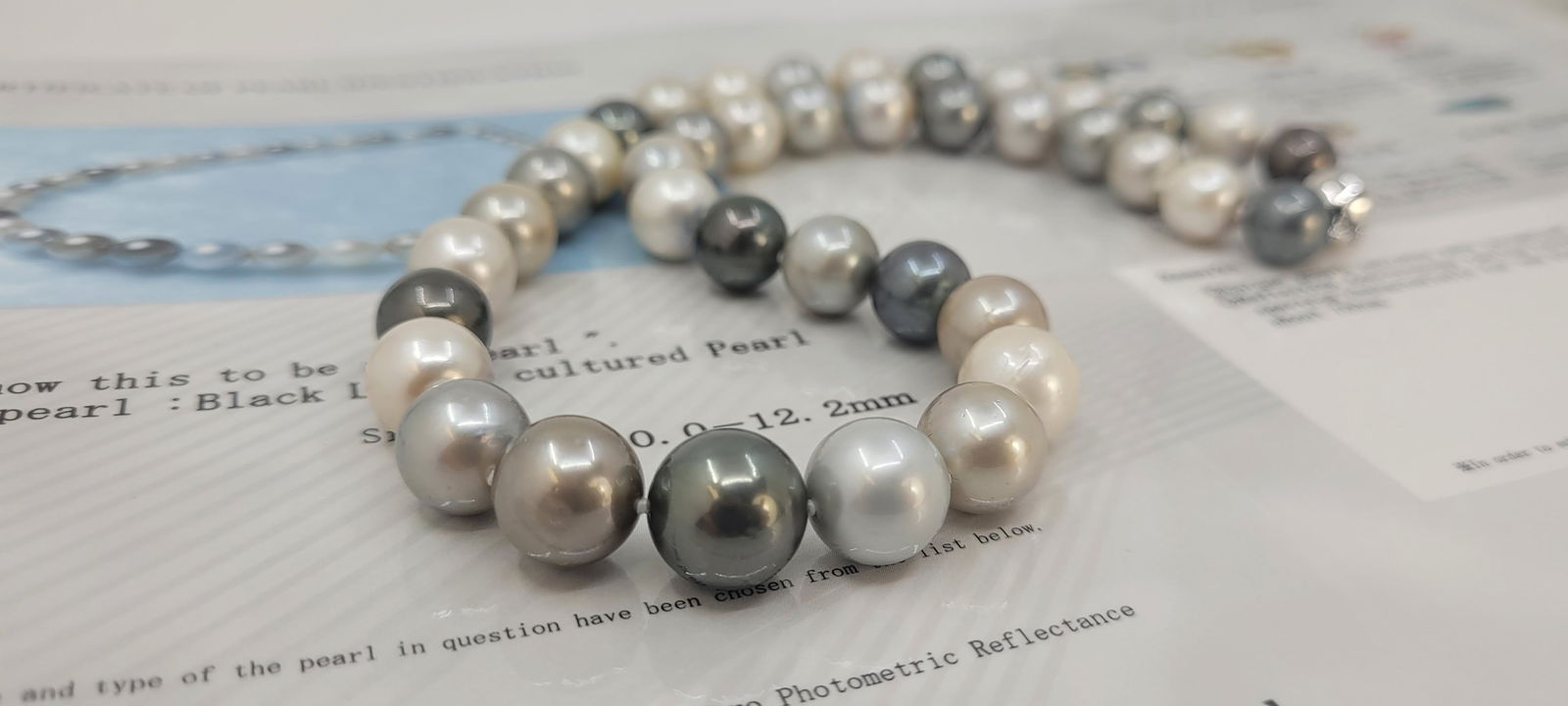 Necklace PSL Certified Tahitian Pearls - 10.0x12.2mm - 11