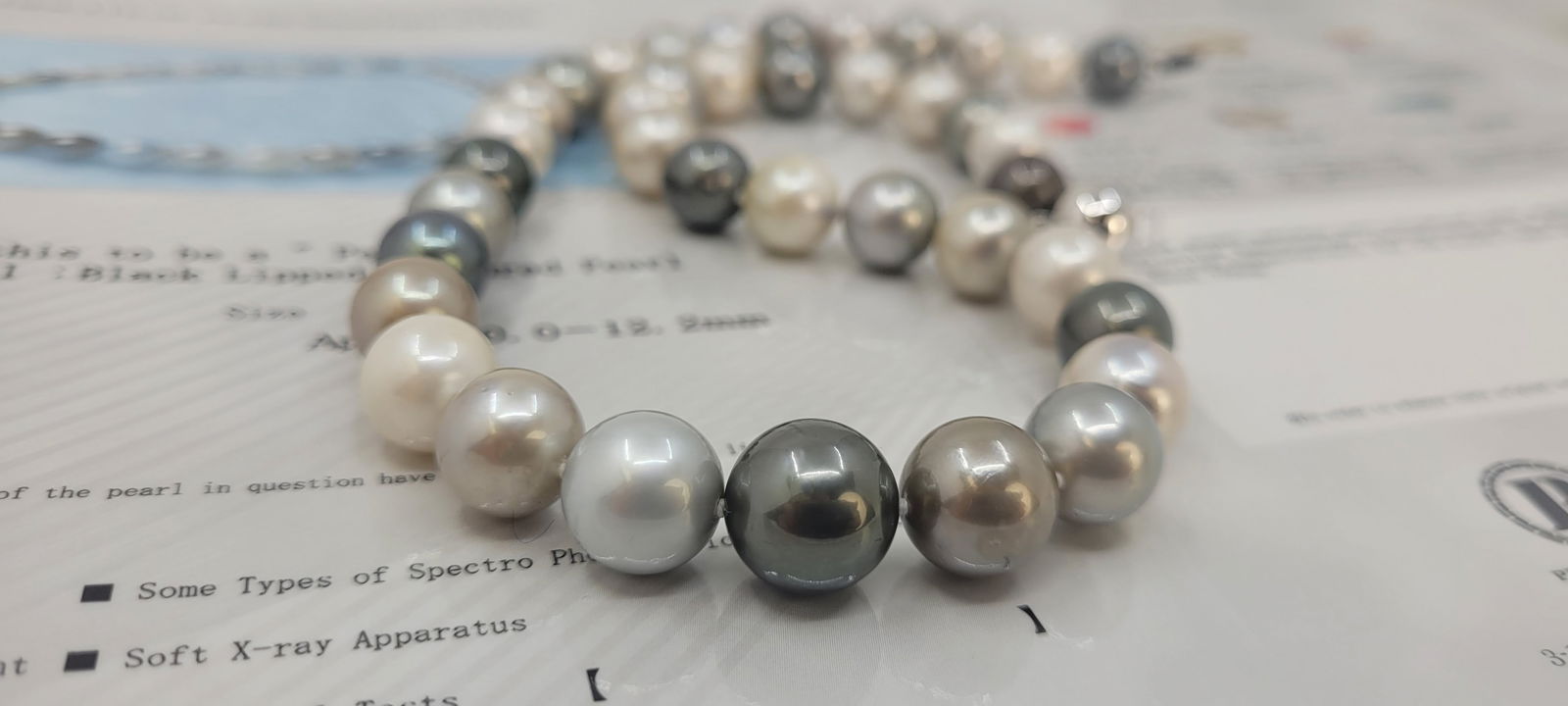 Necklace PSL Certified Tahitian Pearls - 10.0x12.2mm - 13