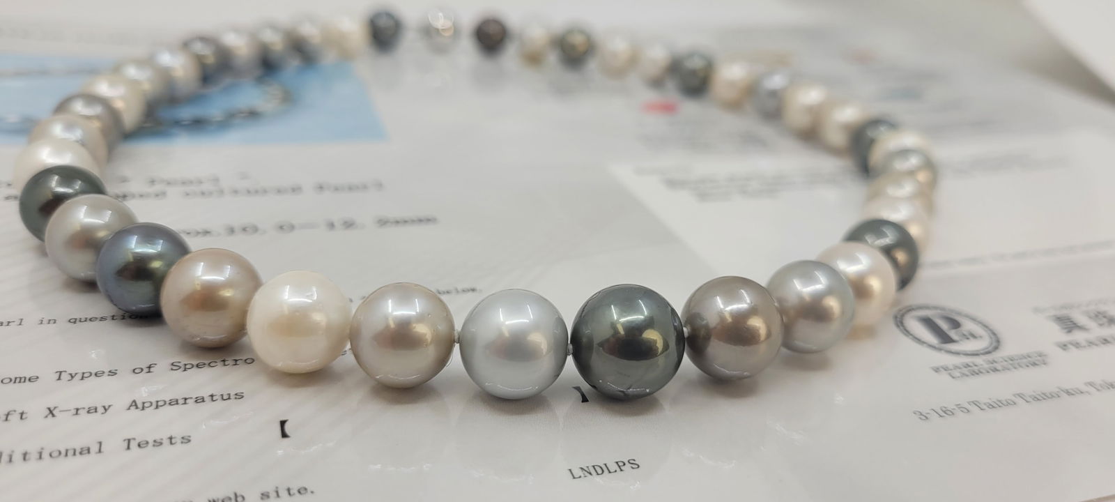 Necklace PSL Certified Tahitian Pearls - 10.0x12.2mm - 7