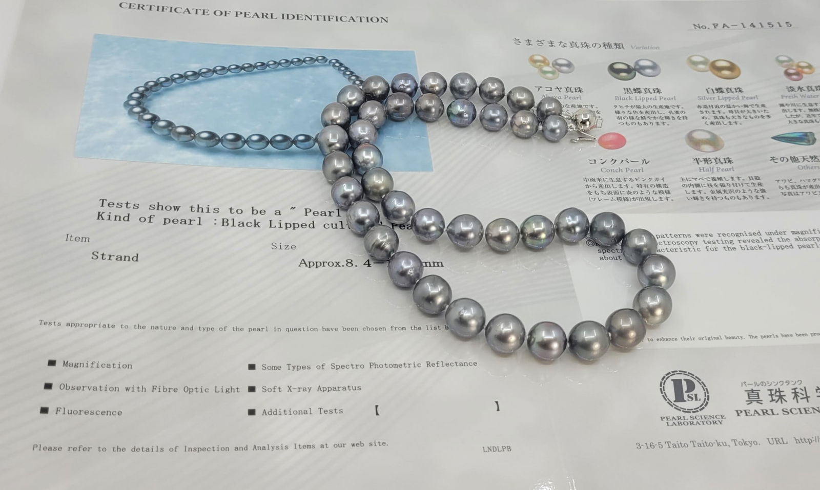 Necklace PSL Certified Tahitian Pearls - 8.4x10.9mm - 10