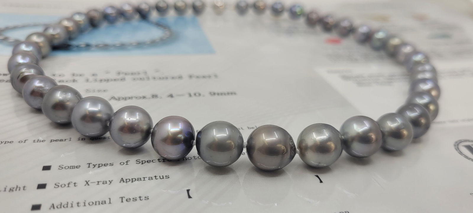 Necklace PSL Certified Tahitian Pearls - 8.4x10.9mm - 7