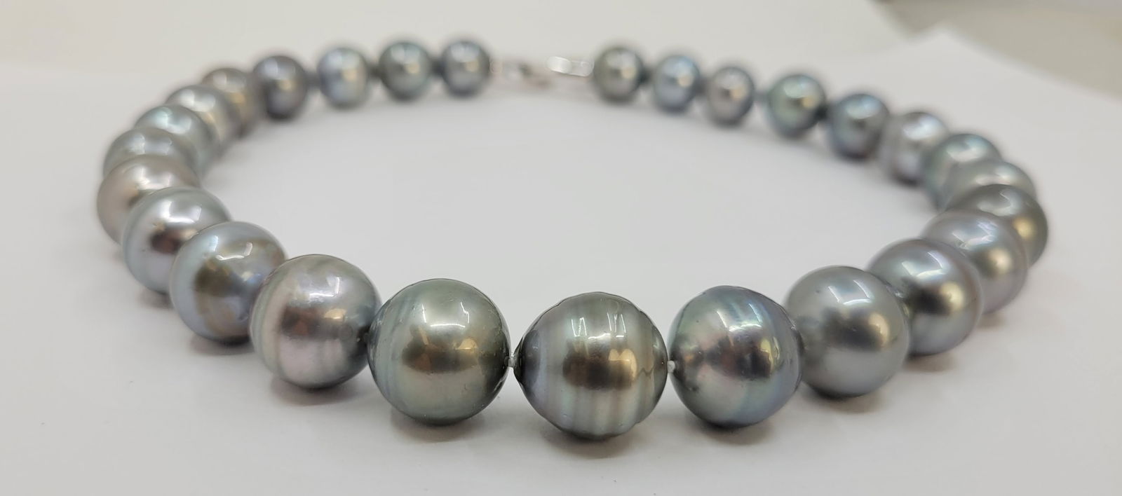 Necklace Silver, PSL Certified Dove Grey Tahitian Pearls - Huge Size - 15.0x15.9mm - 10
