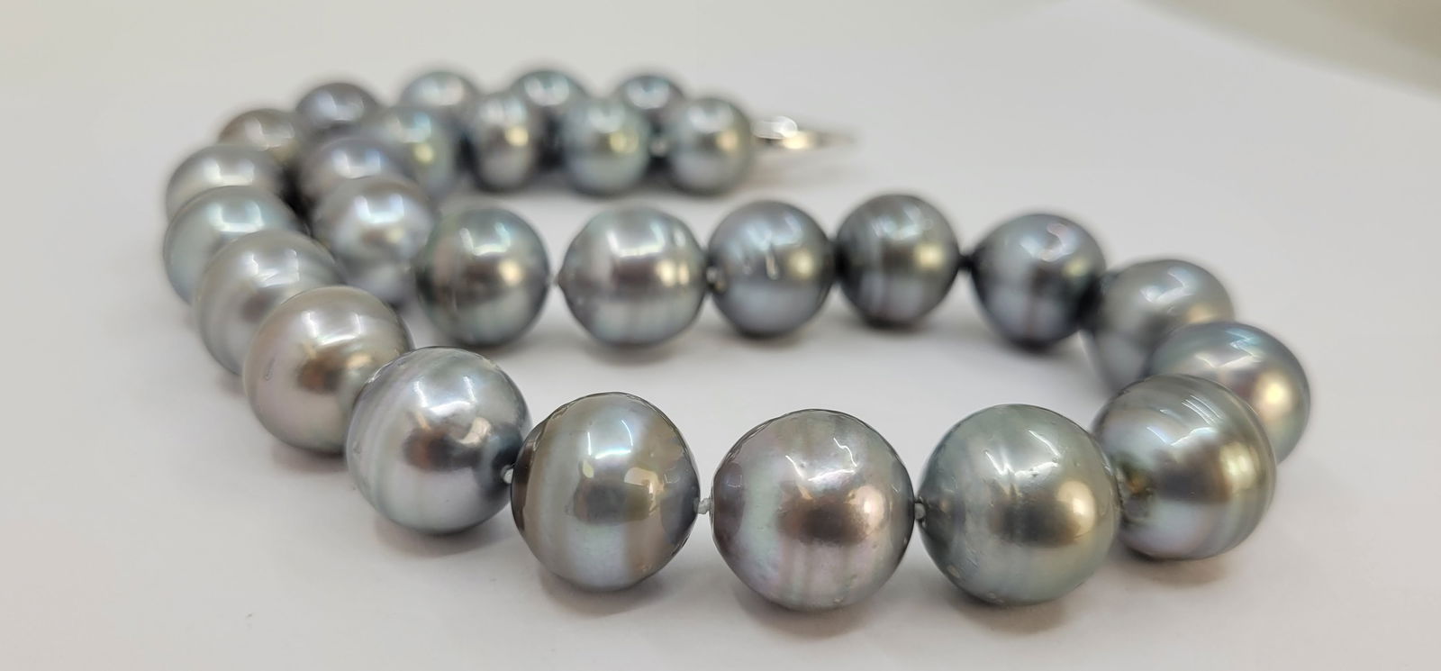 Necklace Silver, PSL Certified Dove Grey Tahitian Pearls - Huge Size - 15.0x15.9mm - 11