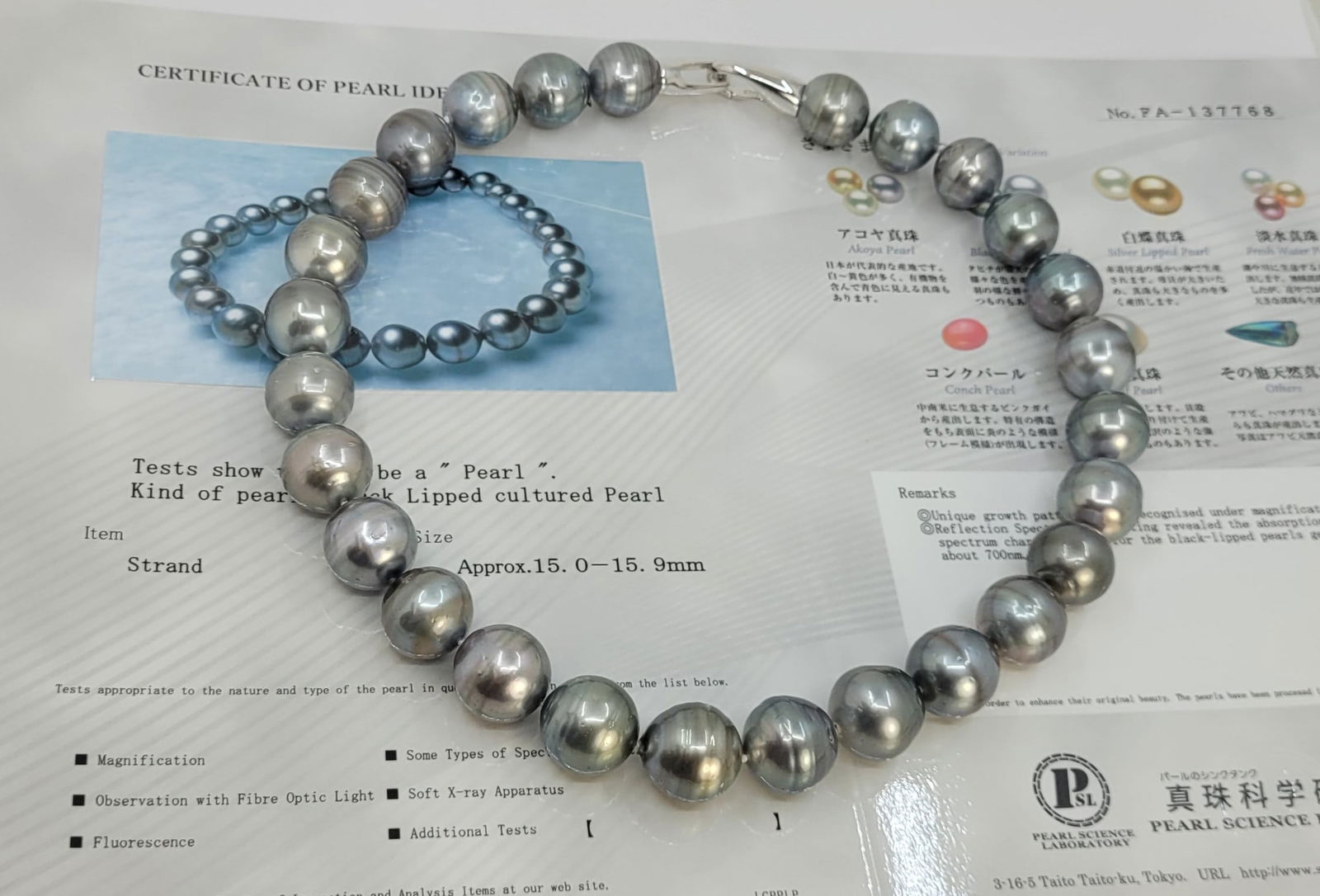 Necklace Silver, PSL Certified Dove Grey Tahitian Pearls - Huge Size - 15.0x15.9mm - 4