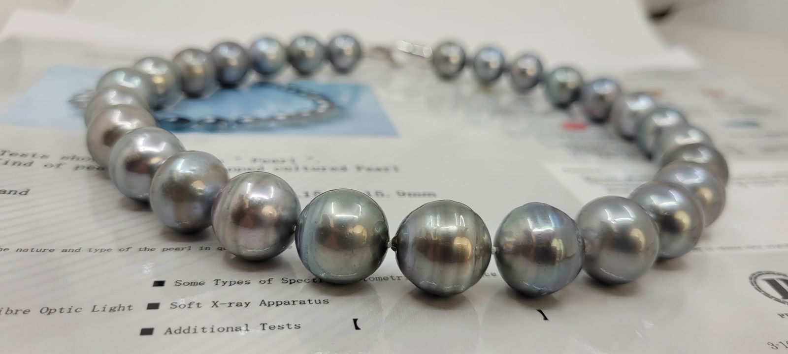 Necklace Silver, PSL Certified Dove Grey Tahitian Pearls - Huge Size - 15.0x15.9mm - 5