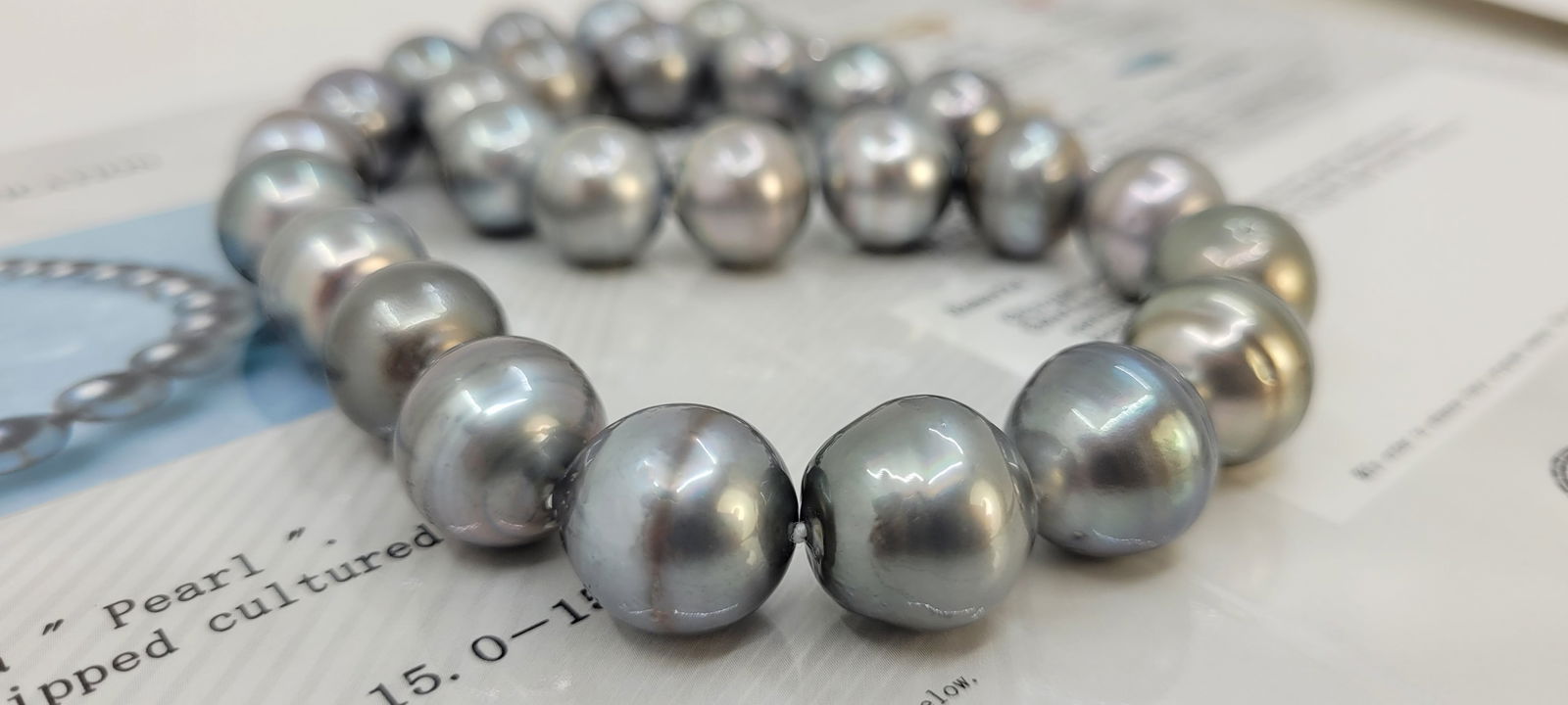 Necklace Silver, PSL Certified Dove Grey Tahitian Pearls - Huge Size - 15.0x15.9mm - 6