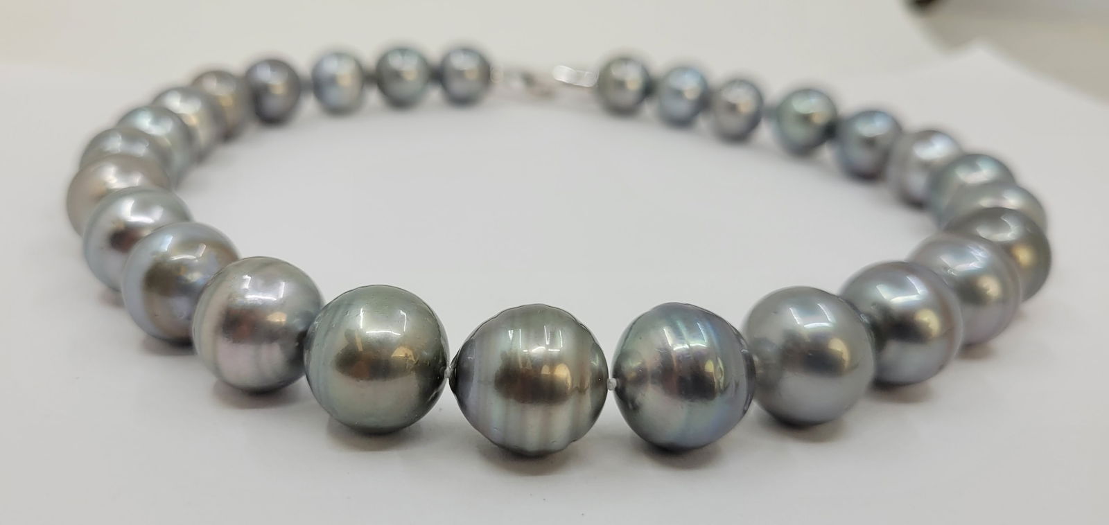 Necklace Silver, PSL Certified Dove Grey Tahitian Pearls - Huge Size - 15.0x15.9mm - 9