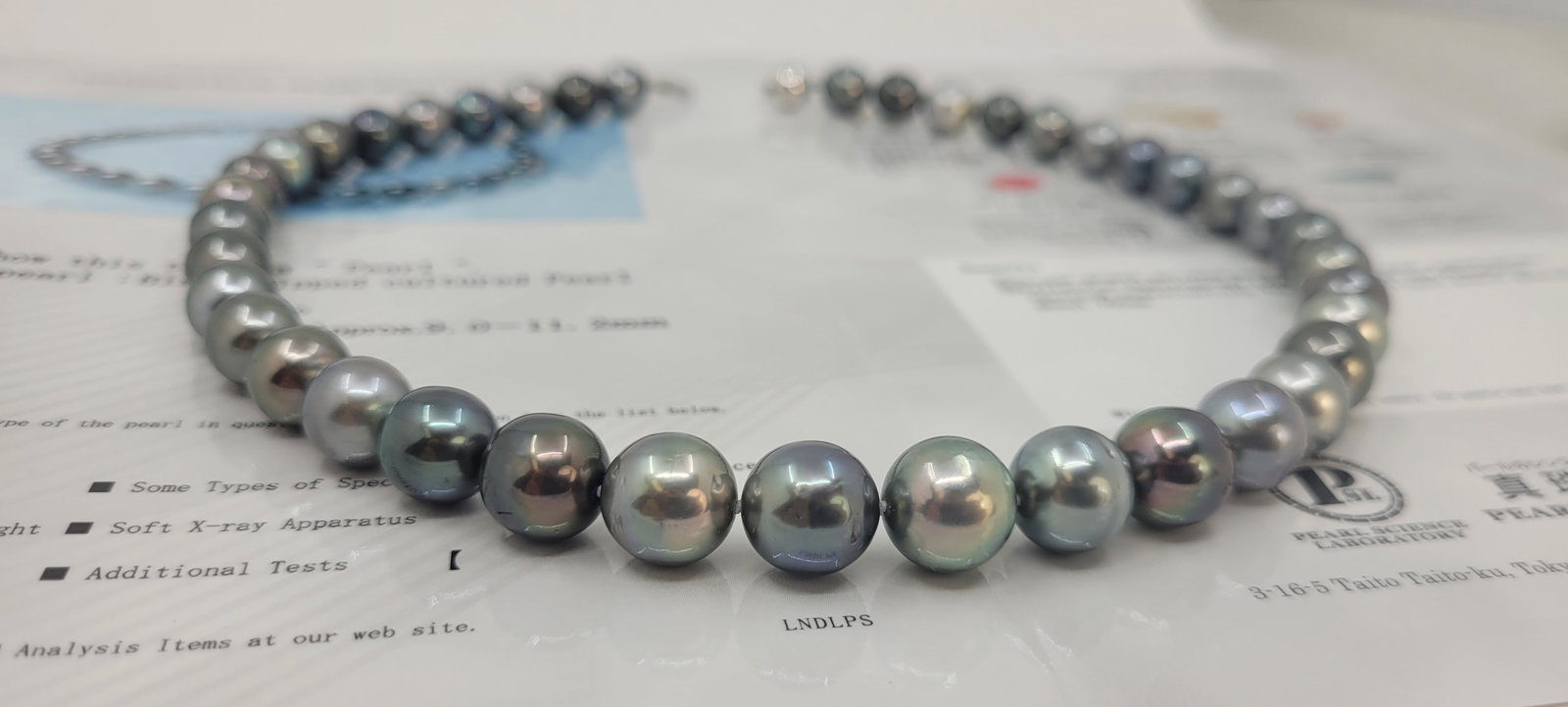 Necklace PSL Certified Tahitian Pearls - 9.0x11.2mm - 10