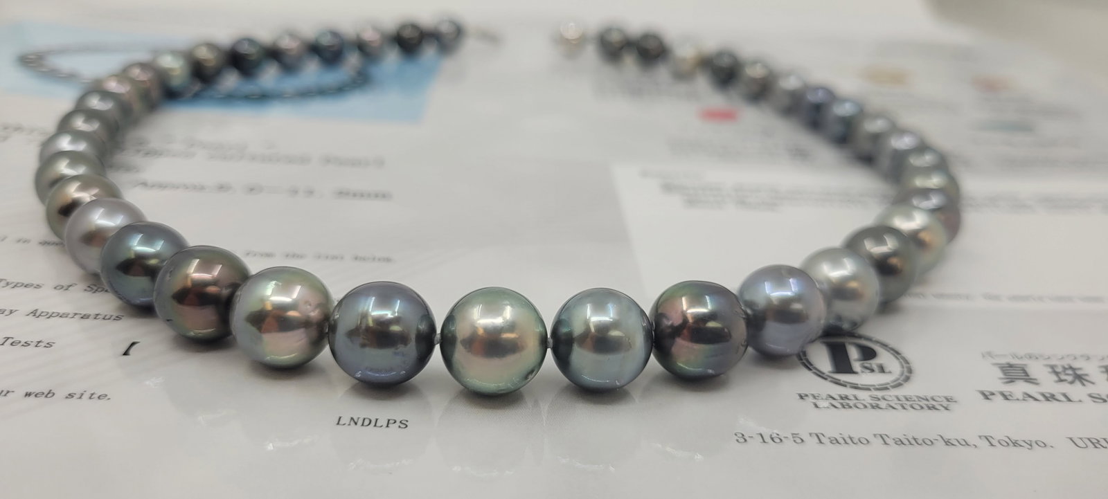 Necklace PSL Certified Tahitian Pearls - 9.0x11.2mm - 11