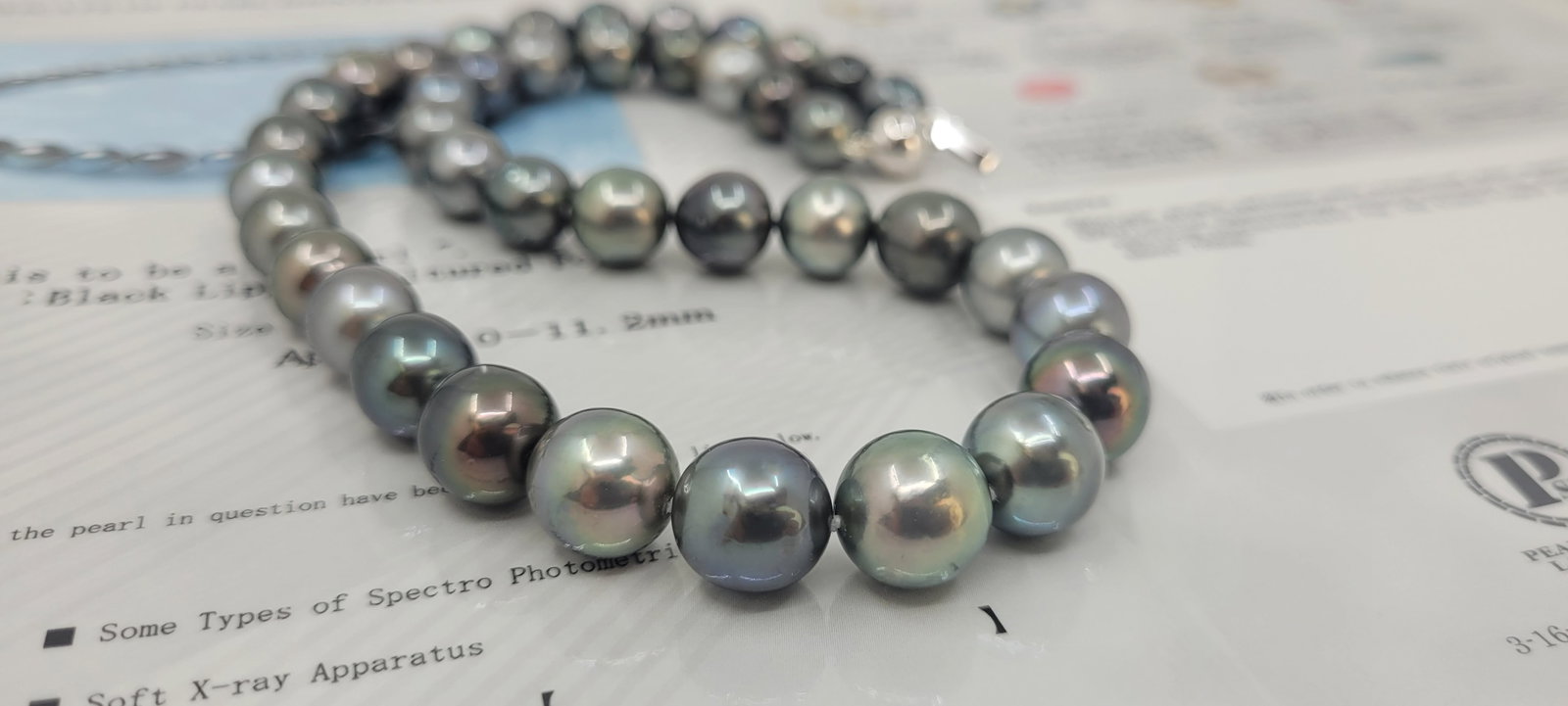Necklace PSL Certified Tahitian Pearls - 9.0x11.2mm - 17
