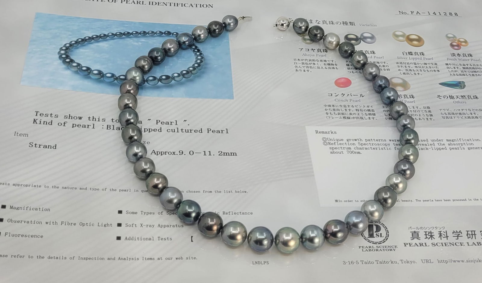 Necklace PSL Certified Tahitian Pearls - 9.0x11.2mm - 9