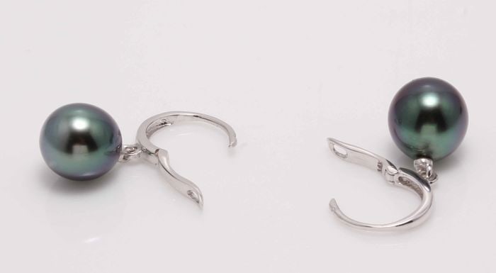 14 kt. White Gold - 9x10mm Tahitian Pearl Drops - Earrings - 6