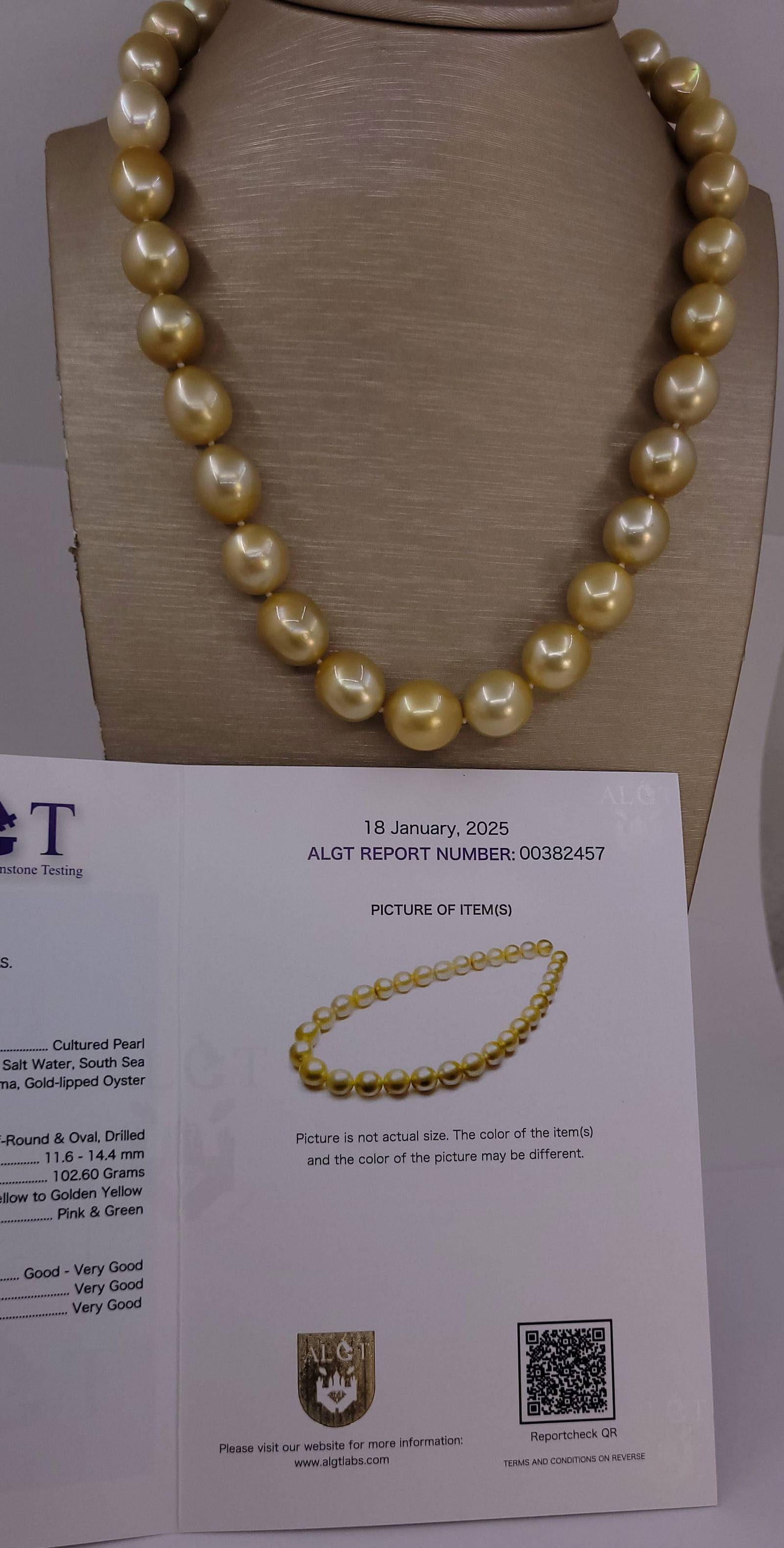 Necklace HUGE SIZE - ALGT Certified Golden South Sea Pearls - 11.6x14.4mm - 11