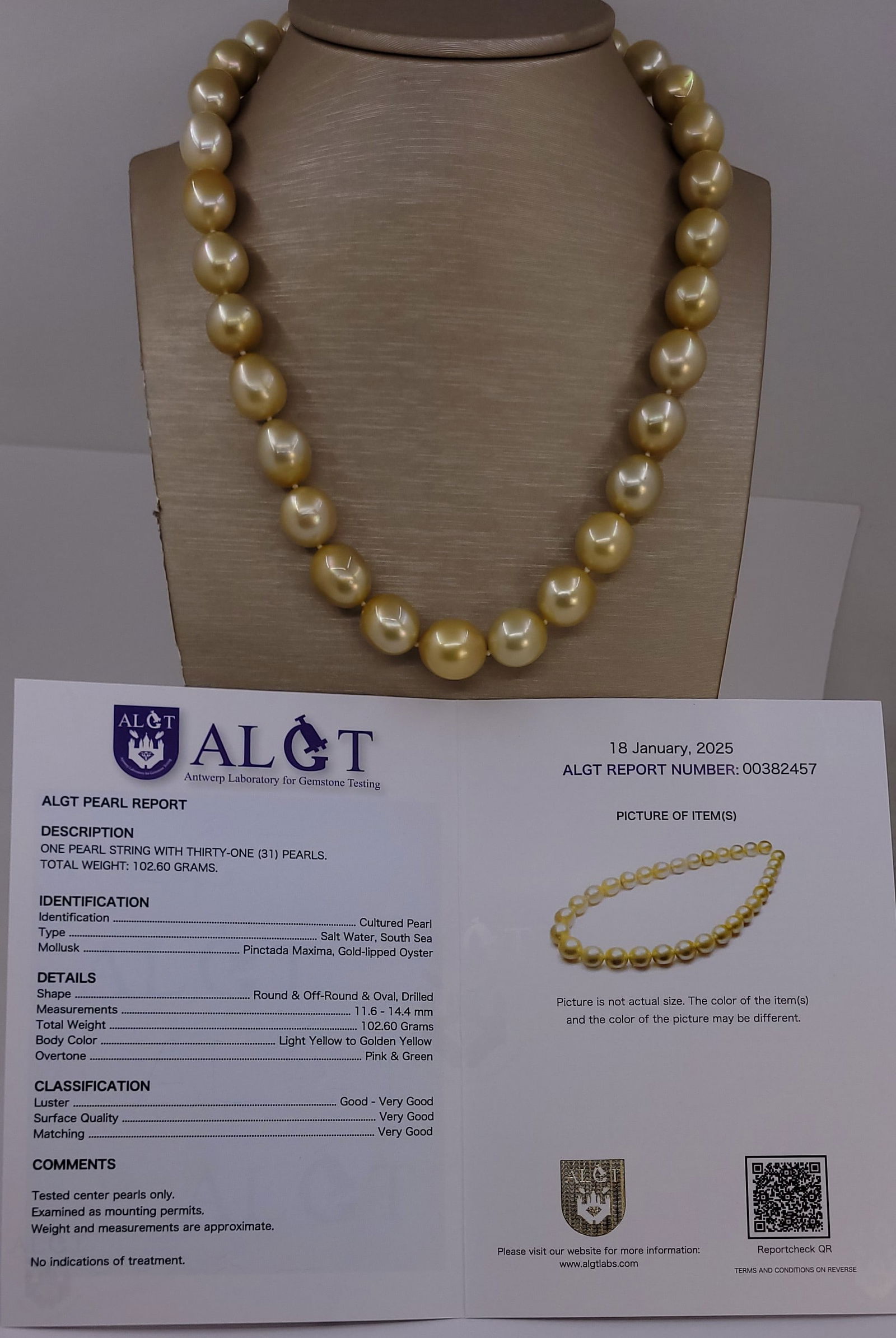 Necklace HUGE SIZE - ALGT Certified Golden South Sea Pearls - 11.6x14.4mm - 9