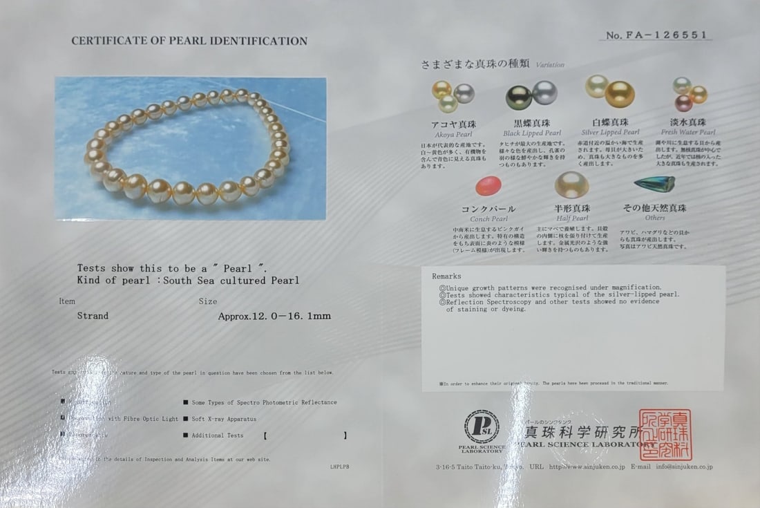 Necklace PSL Certified Australian South Sea Pearls - Huge Size - 12.0x16.1mm - 5