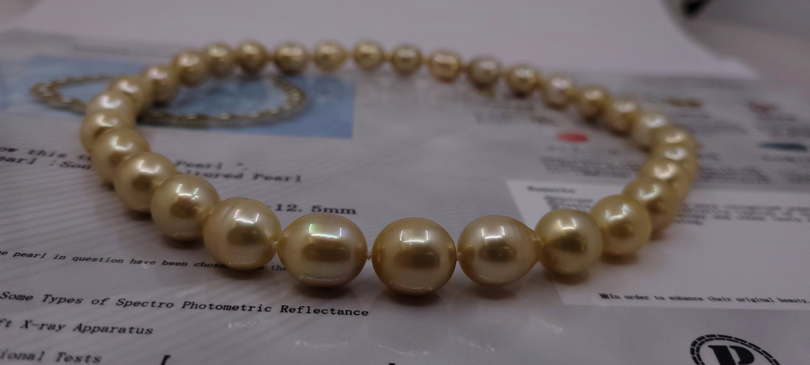 Necklace PSL Certified Deep Golden South Sea Pearls - 10.0x12.5mm - 19