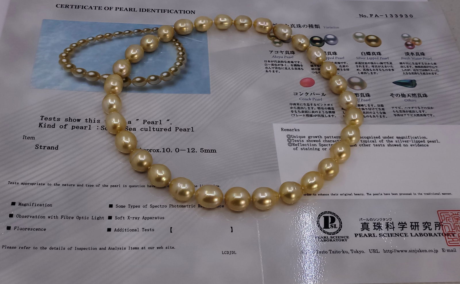 Necklace PSL Certified Deep Golden South Sea Pearls - 10.0x12.5mm - 8
