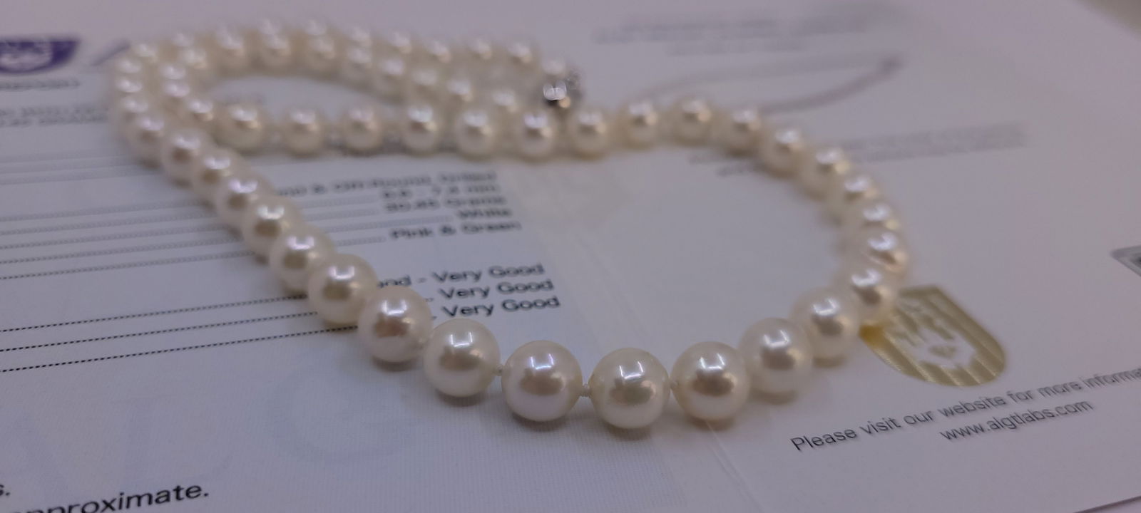 Necklace ALGT Certified Akoya Pearls - 6.6x7.4mm - 20