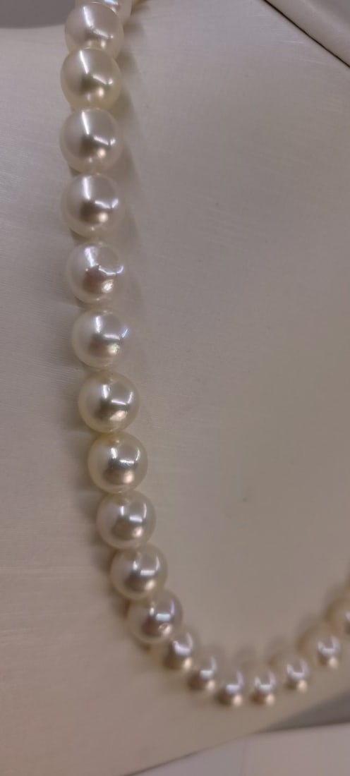 ALGT Certified Akoya Pearls - 8.9x9.4mm - 3