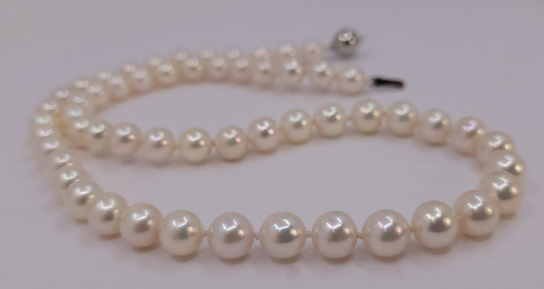 Necklace - 7x7.5mm Akoya Pearls - 12