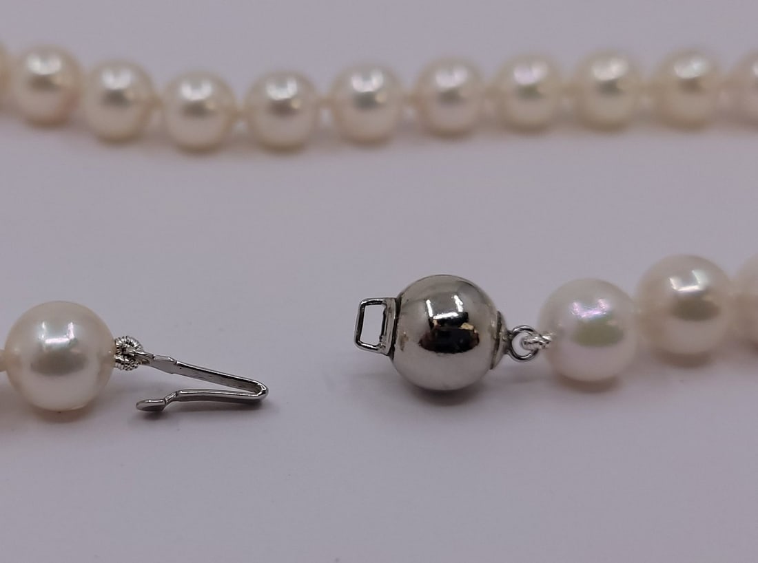 Necklace - 7x7.5mm Akoya Pearls - 16