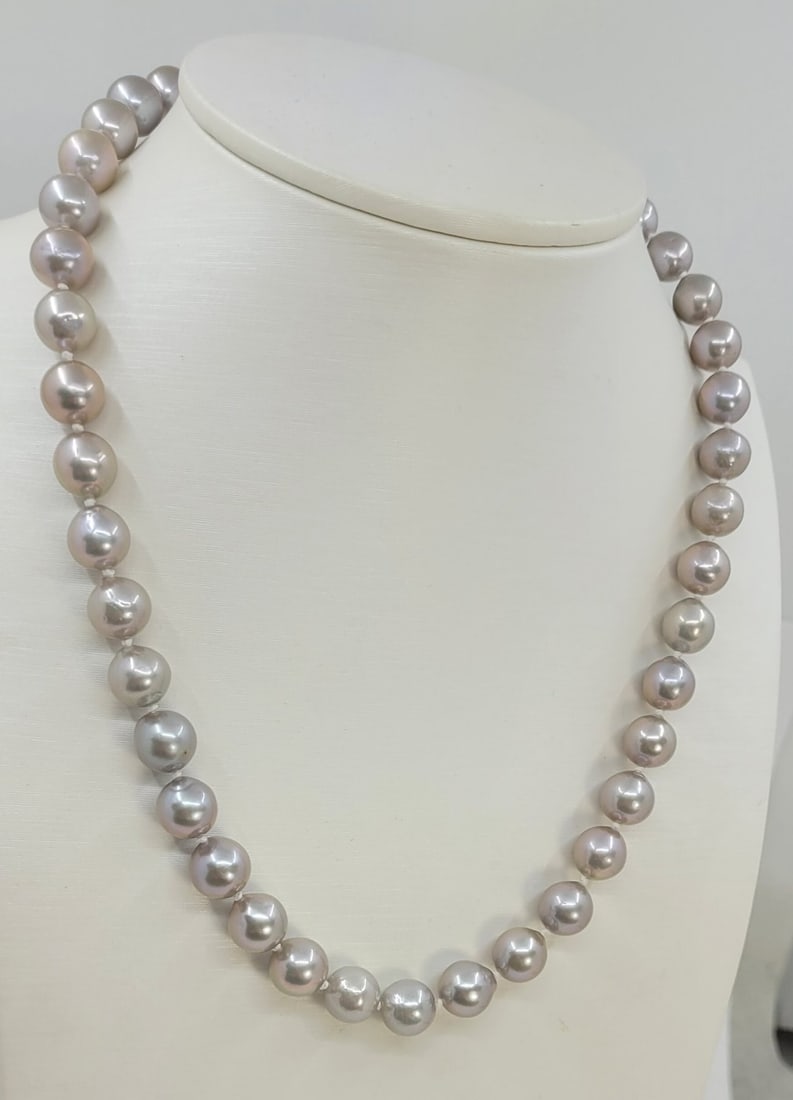 Necklace 8x10mm Grey Edison Freshwater Pearls - 2
