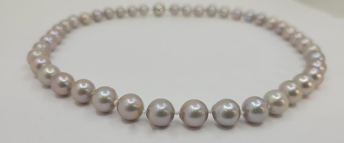 Necklace 8x10mm Grey Edison Freshwater Pearls - 6