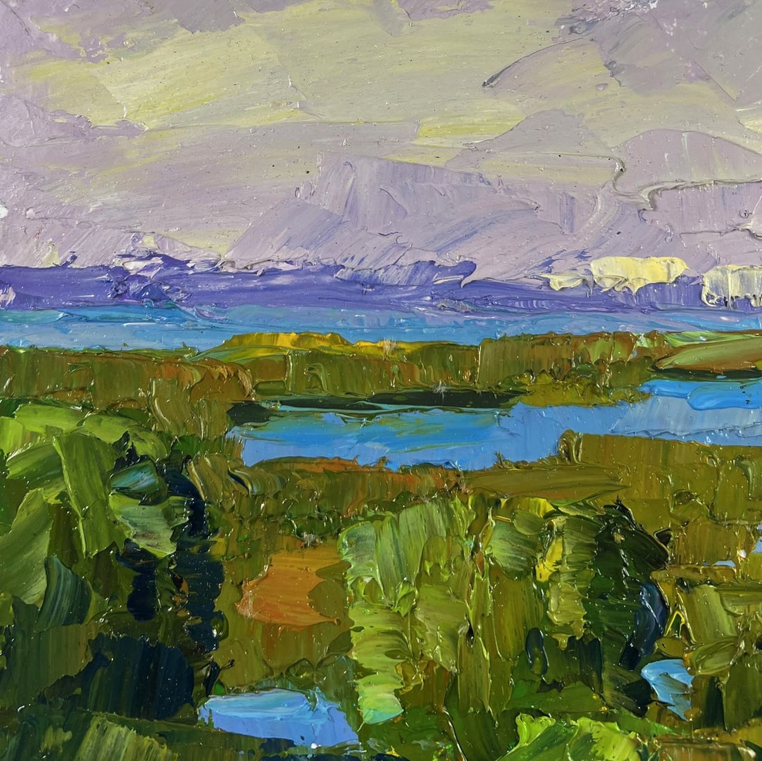 Oil painting Fishing on the lakes Boris Serdyuk - 6