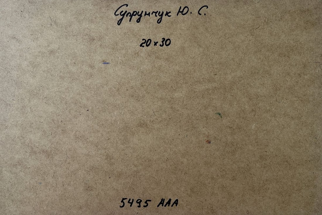 Oil painting Fishermen resting near the shore Yuriy Suprunchuk - 9