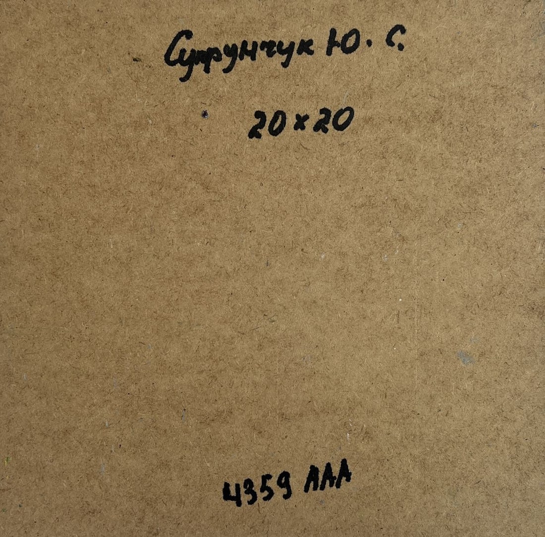 Oil painting House near the river Yuriy Suprunchuk - 8