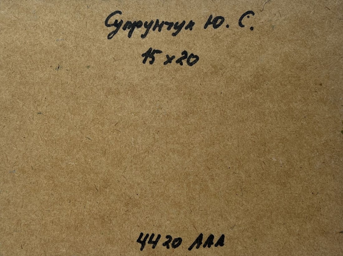 Oil painting Enjoying the natural silence Yuriy Suprunchuk - 8