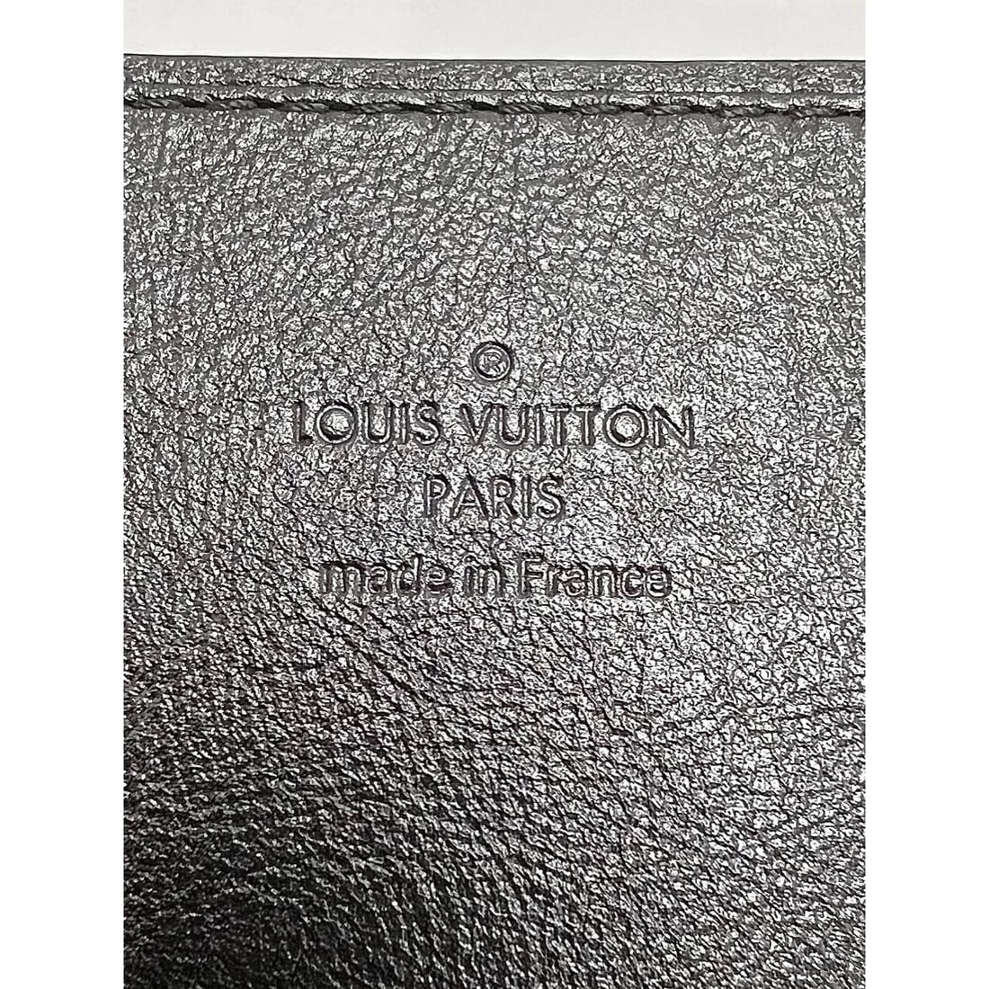 LOUIS VUITTON Reverse Giant Monogram Dauphine Bumbag Clutch - 14