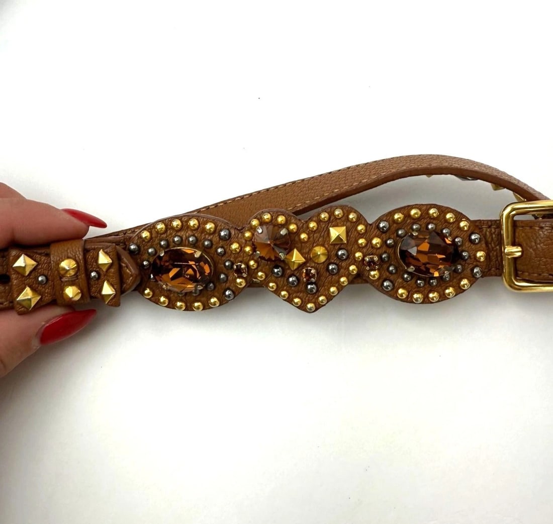 Miu Miu Madres Brown Leather Crystals Crossbody - 5