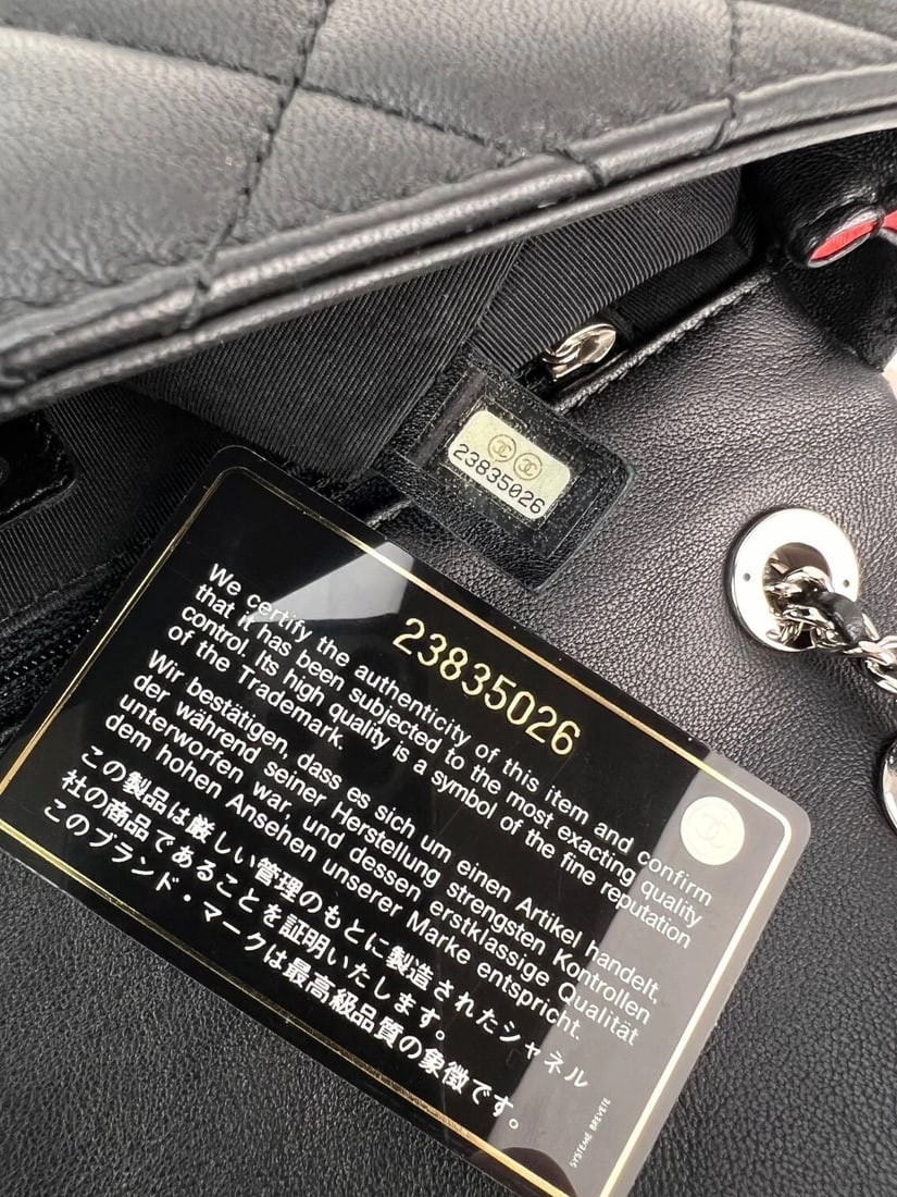 Chanel Lambskin Plexiglass Quilted Medium Cuba Color Flap Bag - 10