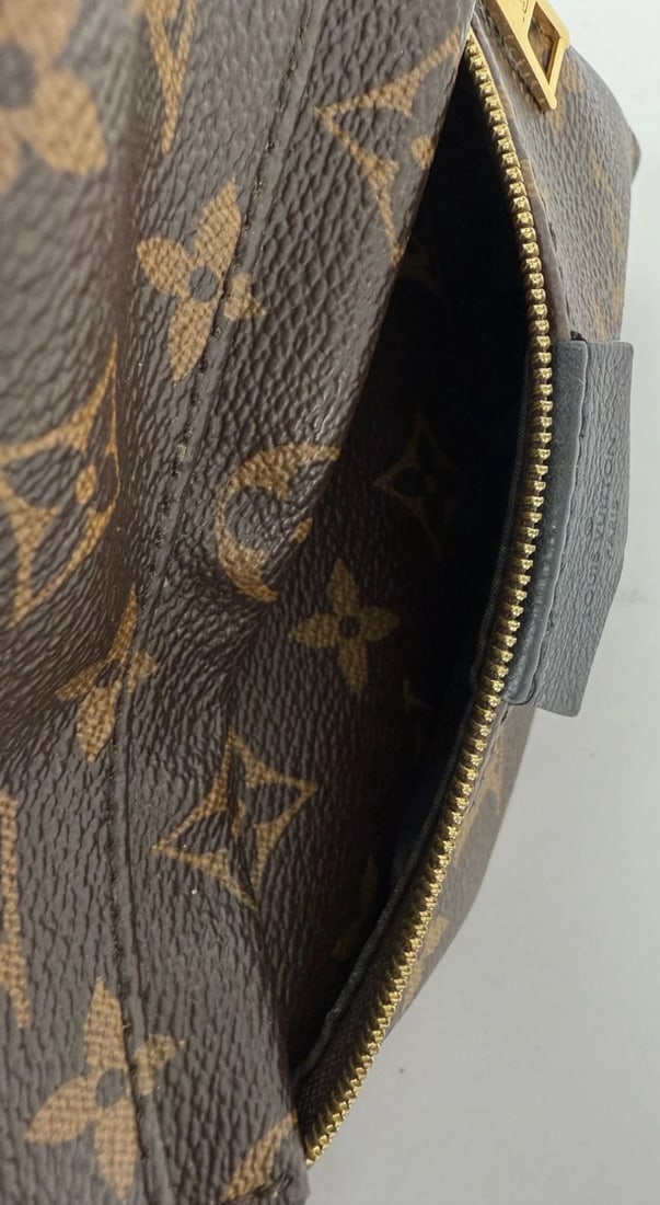 Louis Vuitton Backpack Palm Springs PM Monogram Canvas Backpack - 10