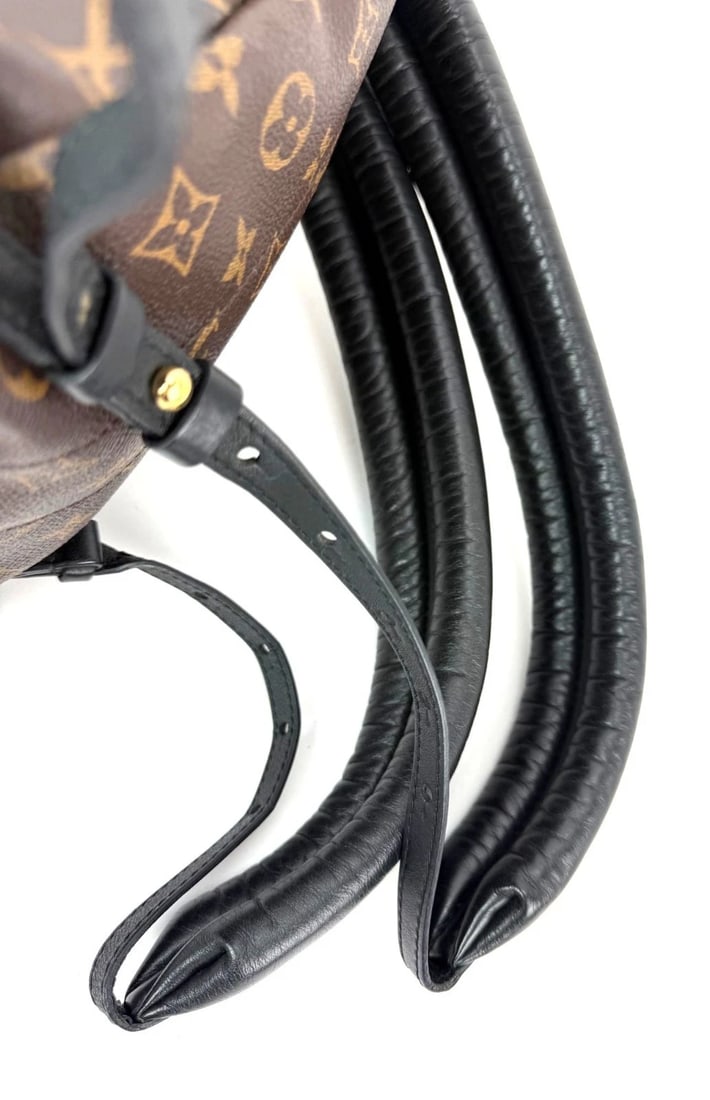 Louis Vuitton Backpack Palm Springs PM Monogram Canvas Backpack - 12